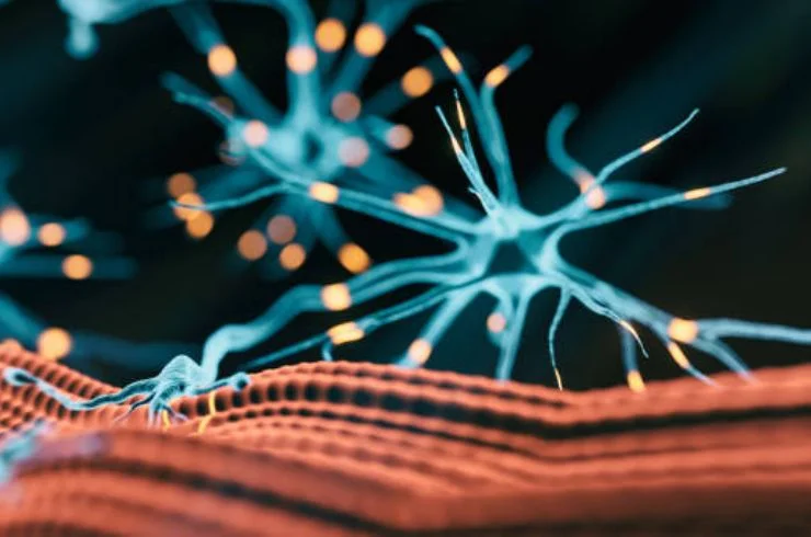 Neuromuscular Disorders